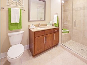 Luxurious bathrooms 